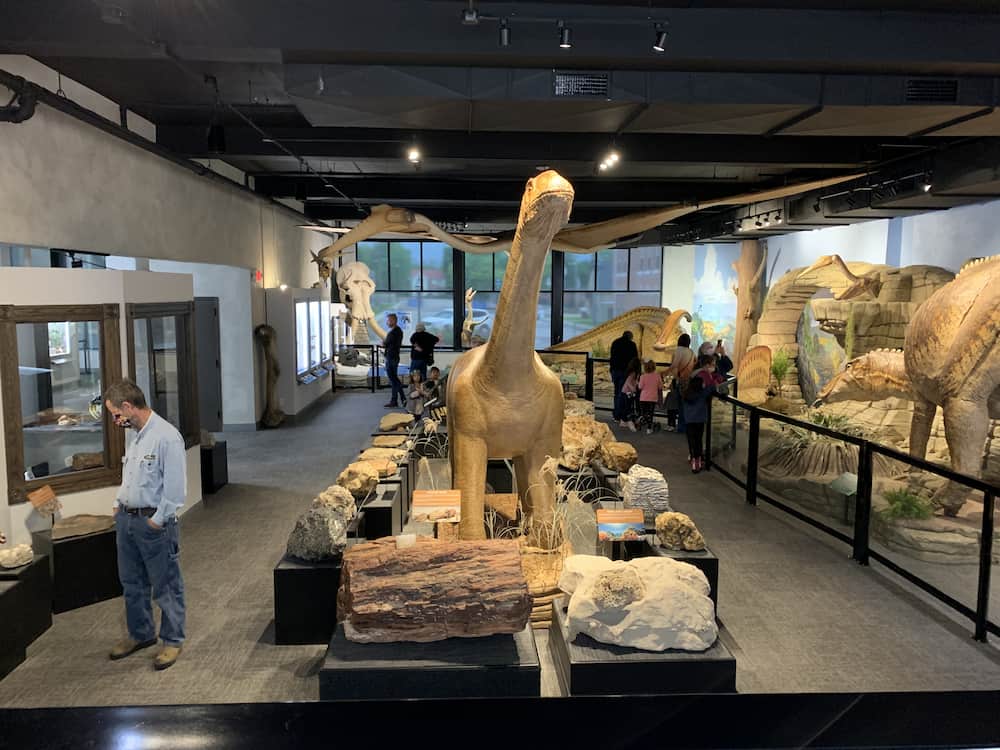 museum hall with dinosaurs