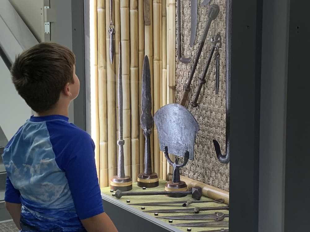 boy looking up at a museum display