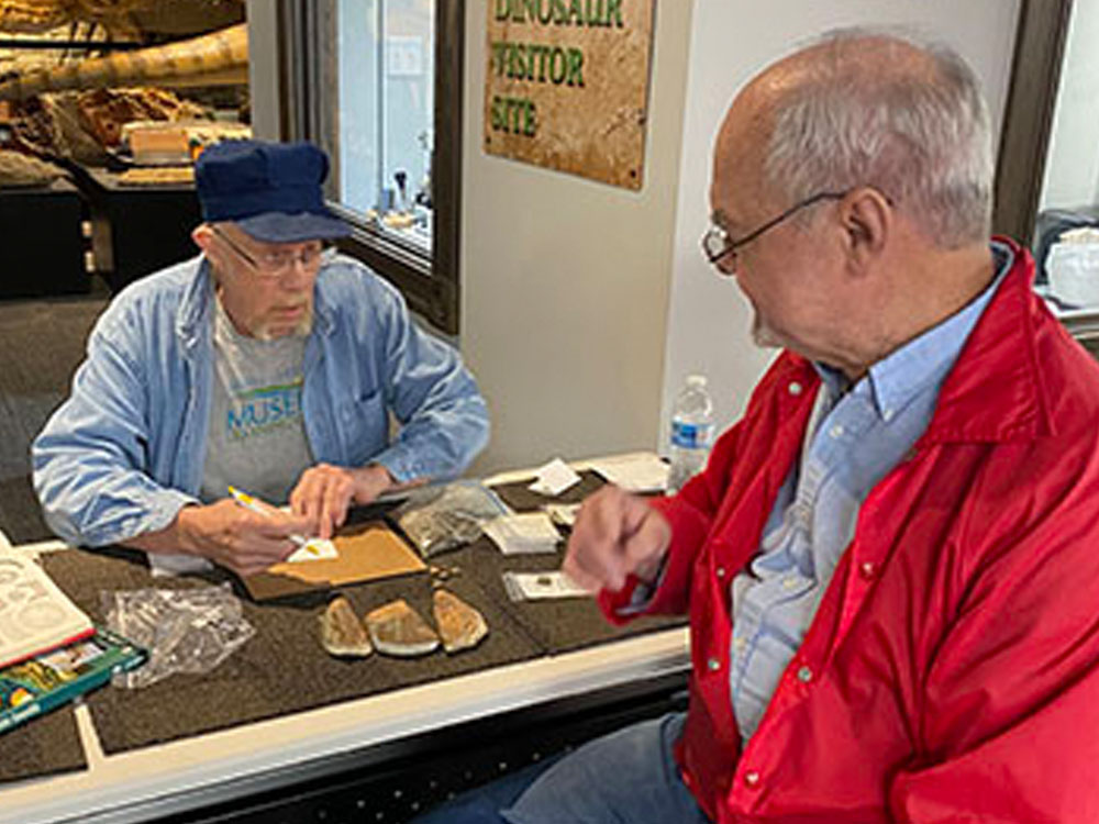 Museum visitors looking at fossils