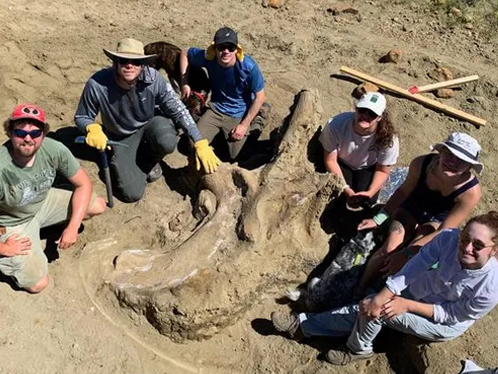 Archaeologists surrounding large fossil excavation site