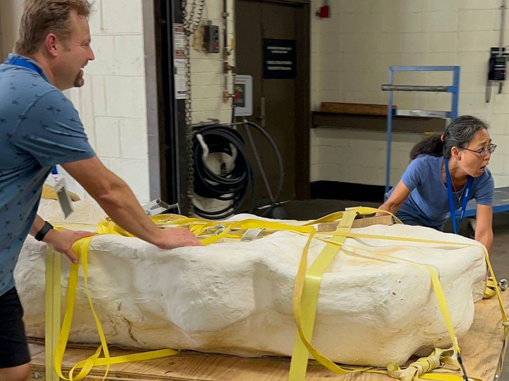 Two archaeologists pushing fossil on cart